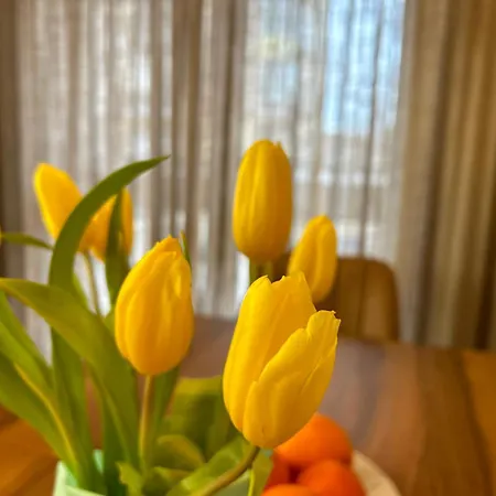 Spacious Fancy Apartment