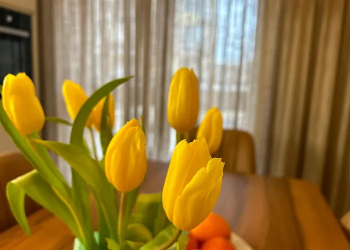 Spacious Fancy アパート